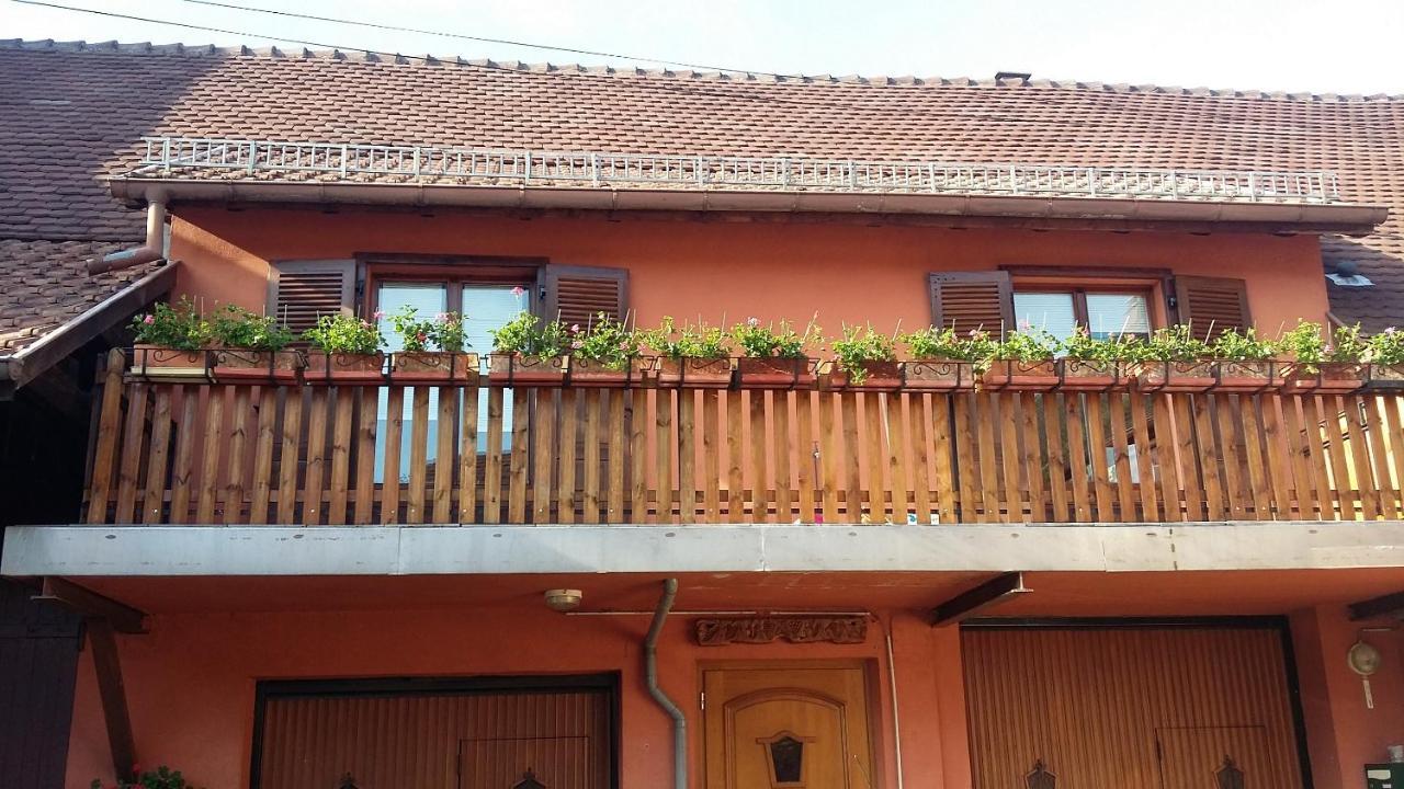 Gite Du Vigneron Mittelwihr Exterior foto